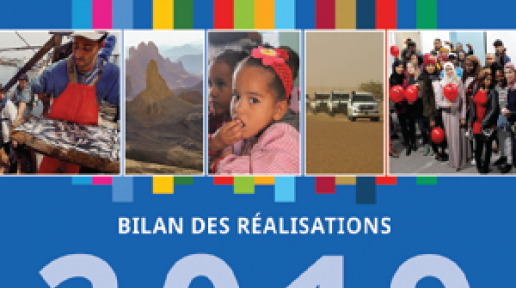 Bilan des réalisations des Nations Unies - Algérie 2019	